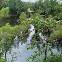 Crowley's Ridge Nature Center - Jonesboro