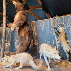 Crowley's Ridge Nature Center - Jonesboro