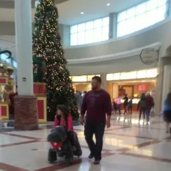 The Mall at Turtle Creek - Jonesboro