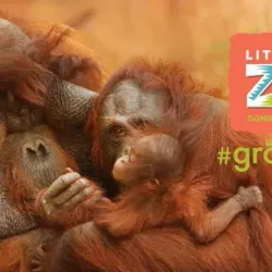 Little Rock Zoo - Little Rock