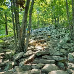 Pinnacle Mountain State Park - Little Rock