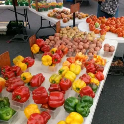 Marion Farmers Market - Marion