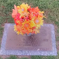 T.C. Horne Memorial Park - Marion