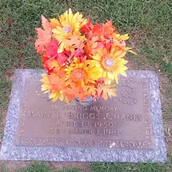 T.C. Horne Memorial Park - Marion