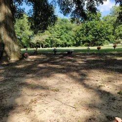 T.C. Horne Memorial Park - Marion