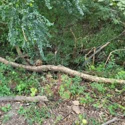 T.C. Horne Memorial Park - Marion