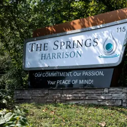 Harrison Spring Park - Mountain Home