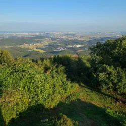 Norfork Lake - Mountain Home