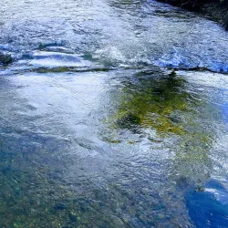 Norfork Lake - Mountain Home