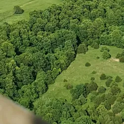 Norfork Lake - Mountain Home