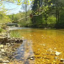 Norfork Lake - Mountain Home