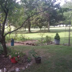 Rim Lakes Golf Club - Mountain Home