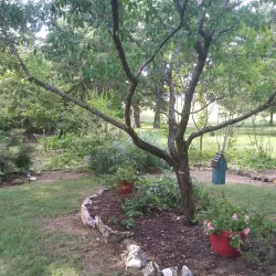 Rim Lakes Golf Club - Mountain Home