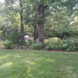 Rim Lakes Golf Club - Mountain Home