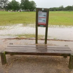 Paris City Park - Paris