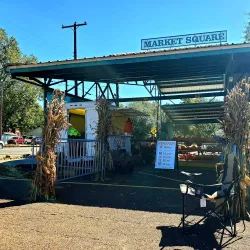 Paris Farmers Market - Paris