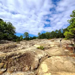 Petit Jean State Park - Paris