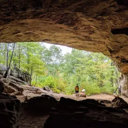 Petit Jean State Park - Paris