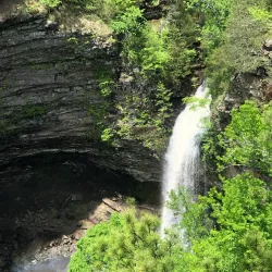 Petit Jean State Park - Paris