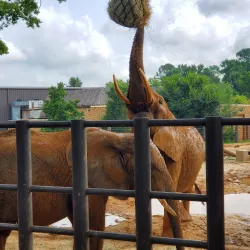 Caldwell Zoo - Pine Bluff