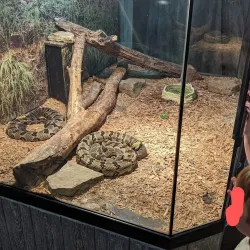 Delta Rivers Nature Center - Pine Bluff