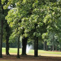 Pine Bluff Country Club - Pine Bluff