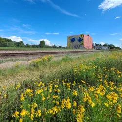 Downtown Rogers - Rogers