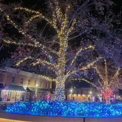 Downtown Rogers - Rogers