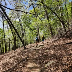 Sugar Creek Trail - Van Buren