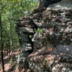 Sugar Creek Trail - Van Buren