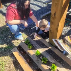 Local Farmers Market - Waldron