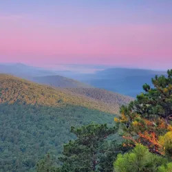 Ouachita National Forest - Waldron