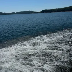 Ouachita National Forest - Waldron