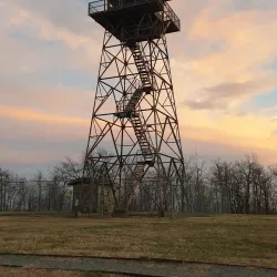Ouachita National Forest - Waldron