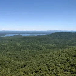 Ouachita National Forest - Waldron