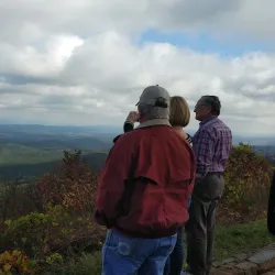 Ouachita National Forest - Waldron