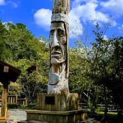 Ouachita National Forest - Waldron