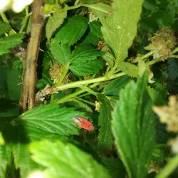 Poteau River - Waldron