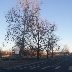 Waldron City Park - Waldron