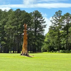 Waldron Golf Course - Waldron