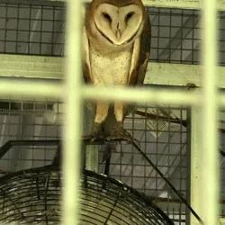 Delta Rivers Nature Center - White Hall