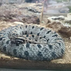 Delta Rivers Nature Center - White Hall