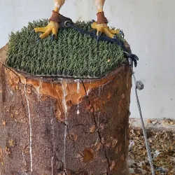 Delta Rivers Nature Center - White Hall