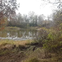 Delta Rivers Nature Center - White Hall