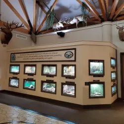 Delta Rivers Nature Center - White Hall