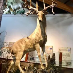 Delta Rivers Nature Center - White Hall