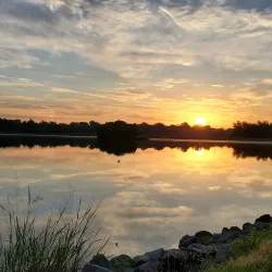 Lake Saracen - White Hall