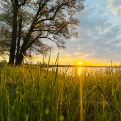 Lake Saracen - White Hall
