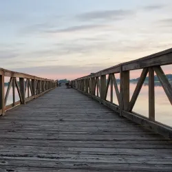 Lake Saracen - White Hall