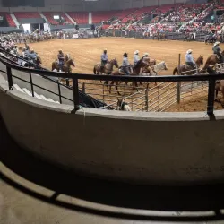 Pine Bluff Convention Center - White Hall